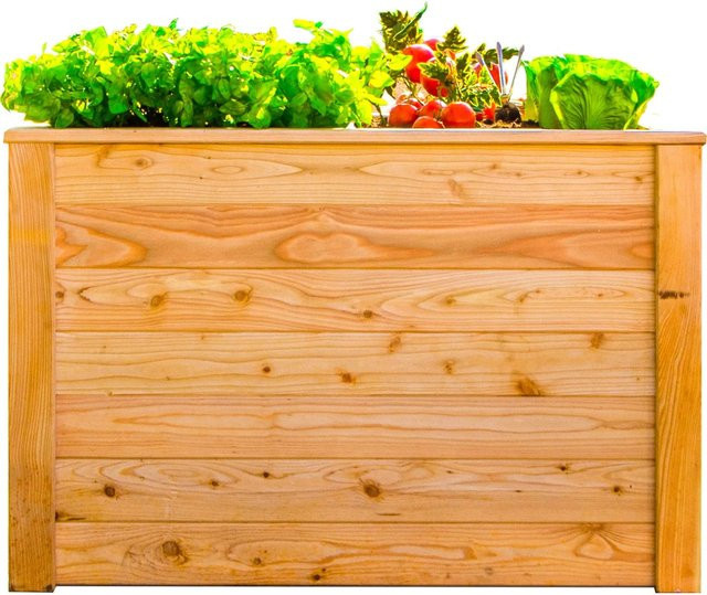 Westmann Hochbeet Klassik aus Lärche in Natur, B/T/H: 100 x 65 x 66 cm - Bild 1
