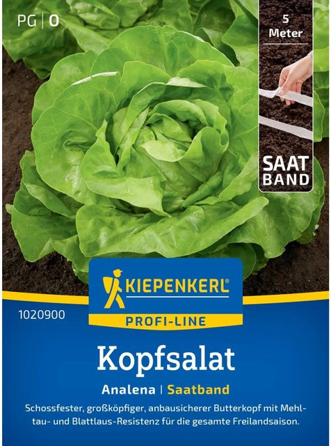 Kiepenkerl Kopfsalat Analena Saatband für den Freilandanbau - Bild 1