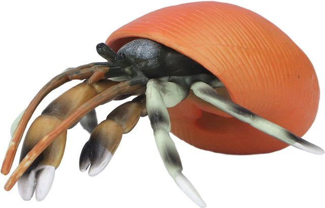 Neoglint Einsiedlerkrebs Modell Meerestiere Figur Sea Life - Bild 1