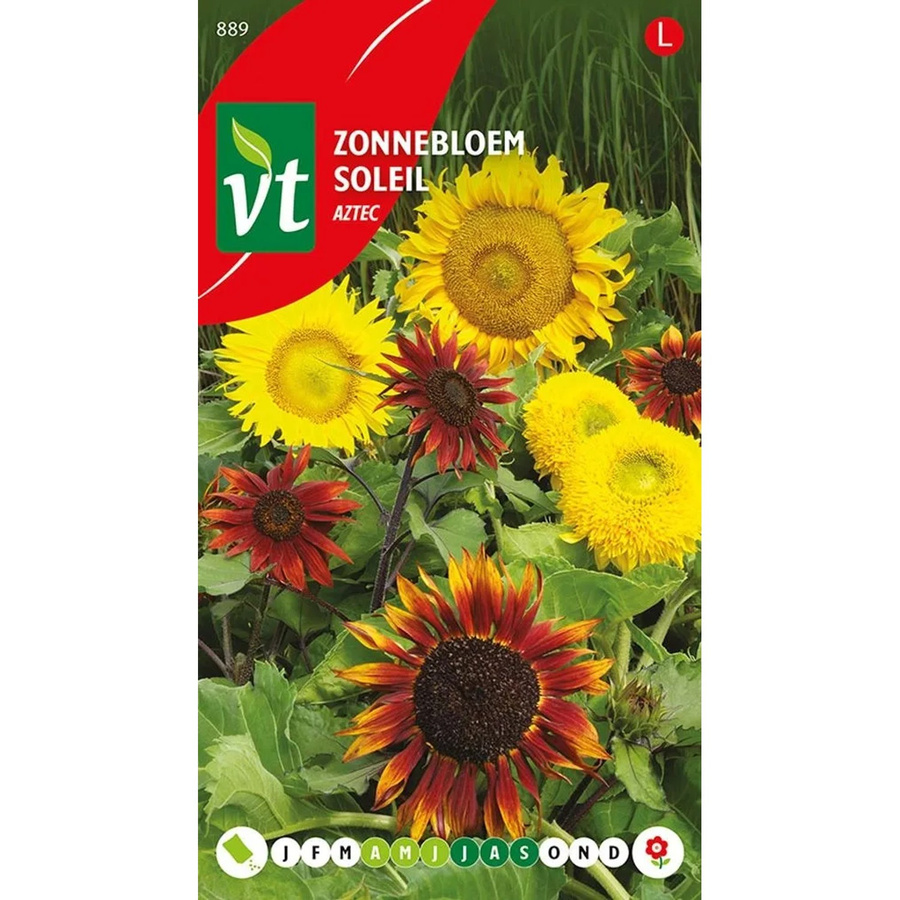 Arborix Sonnenblume Aztek Samen für große Blüten, 1,25 g - Bild 2
