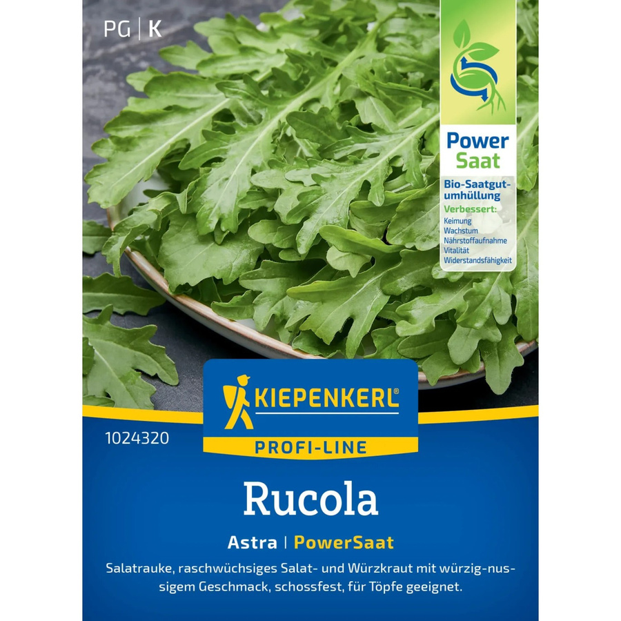 Kiepenkerl Salatrauke Astra Eruca sativa Gemüse - Bild 2