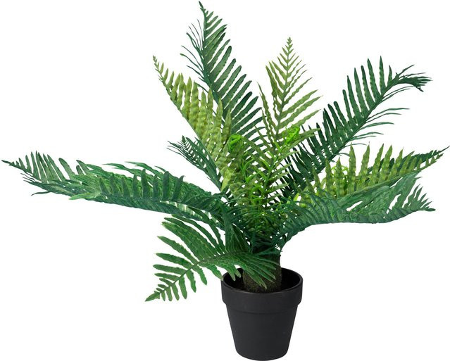 Künstliche Pflanze Palmfarn von viva domo in Grün mit schwarzem Topf - Bild 1