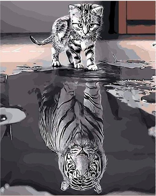 Figured'Art Malen nach Zahlen Katze und Tiger Leinwand - Bild 1