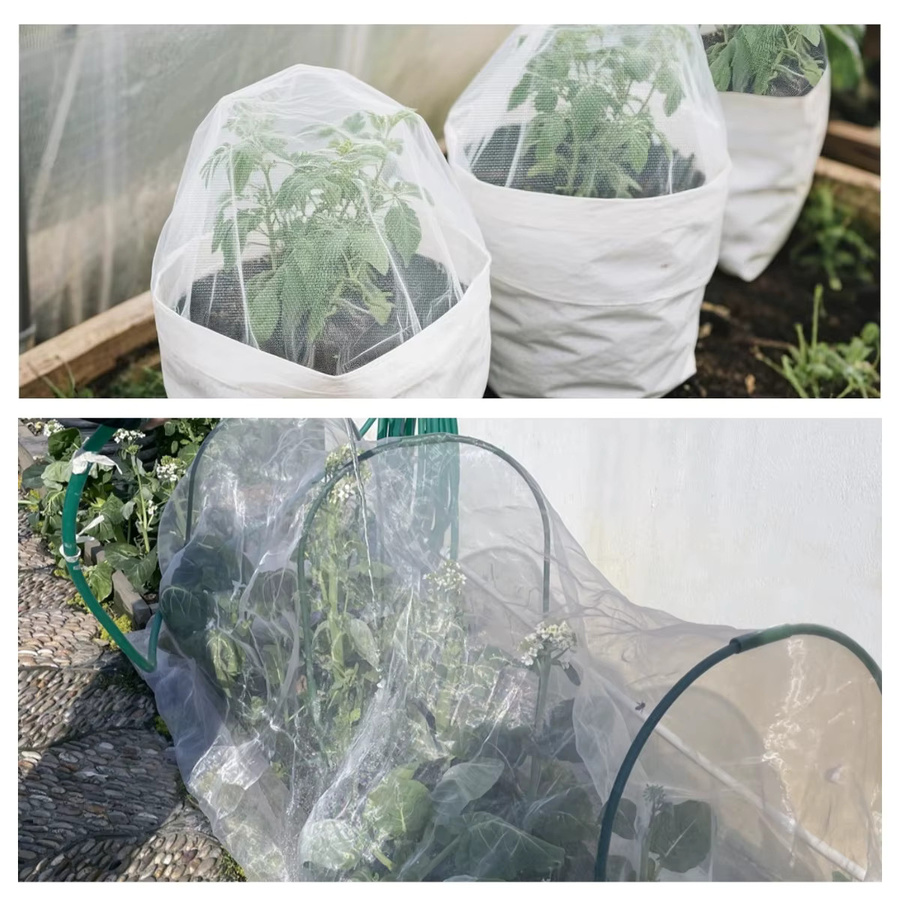2er-Pack Ultrafeines Gartennetz in Weiß als Pflanzenschutz und Vogelschutz für Gemüse, Obst und Blumen, B/H: 198 x 305 cm - Bild 2