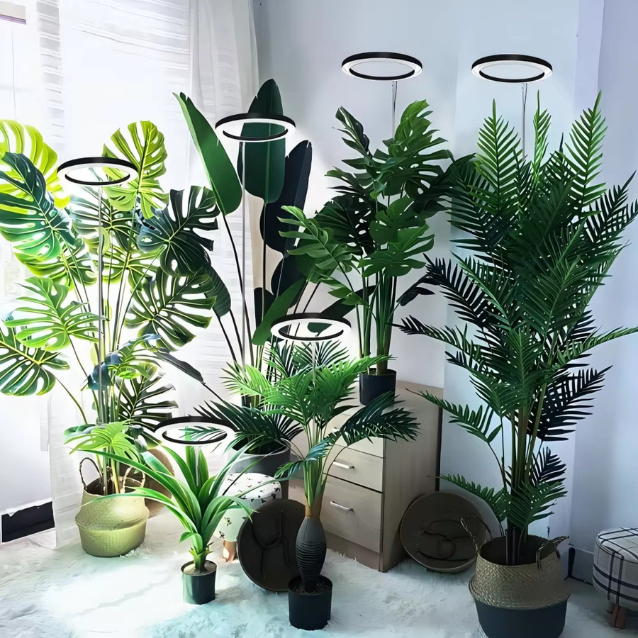 ZCMLED Pflanzenwachstumsleuchte in Schwarz, höhenverstellbare LED-Grow-Light mit Timer (3H/9H/12H und 10 dimmbaren Helligkeitsstufen) für den Schreibtisch oder das Home-Office - Bild 5