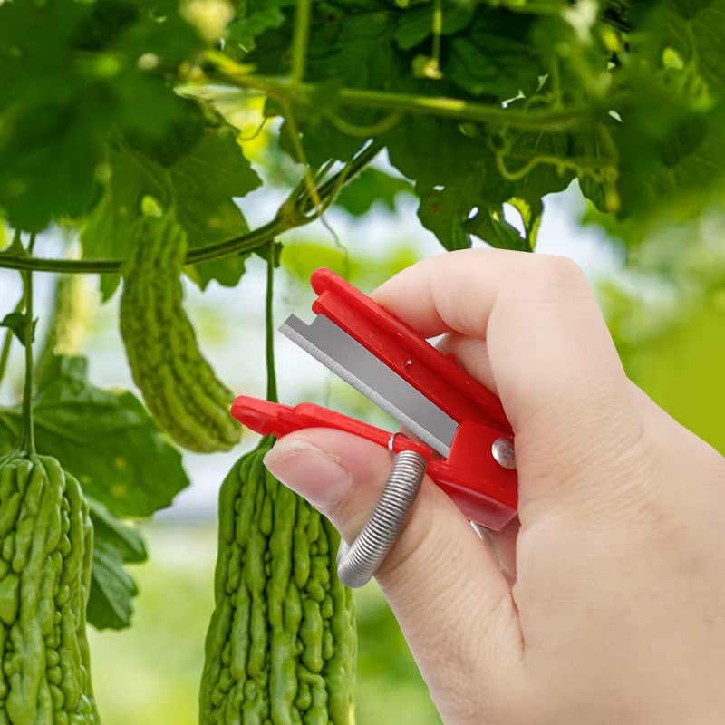 Rotes Pflückmesser für Gemüse und Obst zur Ernte von Trauben und kleinem Obst - Bild 3