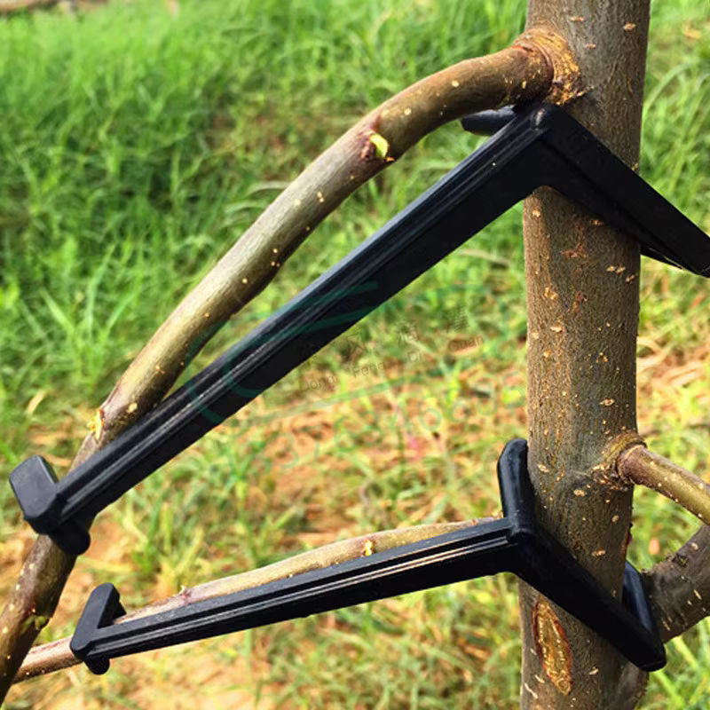 Pflanzen-Biegeclips zur Formgebung von Obstbäumen, Reben und Bonsai in Schwarz - Bild 5
