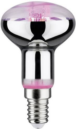 Paulmann LED-Pflanzenlampe Wachstum Bernstein mit E14 Sockel und 4 W Leistung