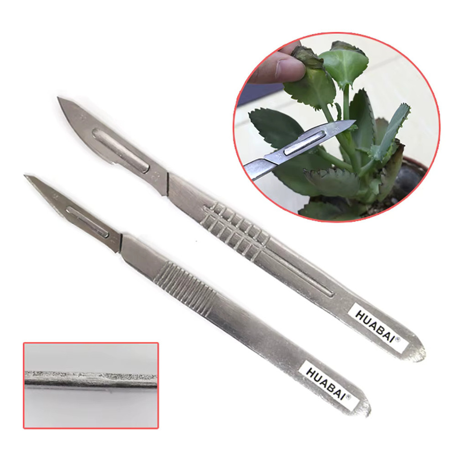 KUAIQU Skalpell-Set aus Edelstahl mit 10 Klingen (Nr. 11 und 23) in Silber inklusive Metallgriff und Aufbewahrungsbox für DIY-Reparaturen und Pflanzenpflege - Bild 4