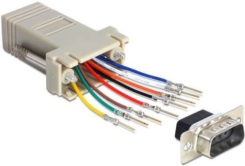 Delock 65462 RJ45 zu VGA Adapter in Grau mit 1x D-SUB-Stecker 9pol. und 1x RJ45-Buchse für Ethernet/LAN - Bild 1