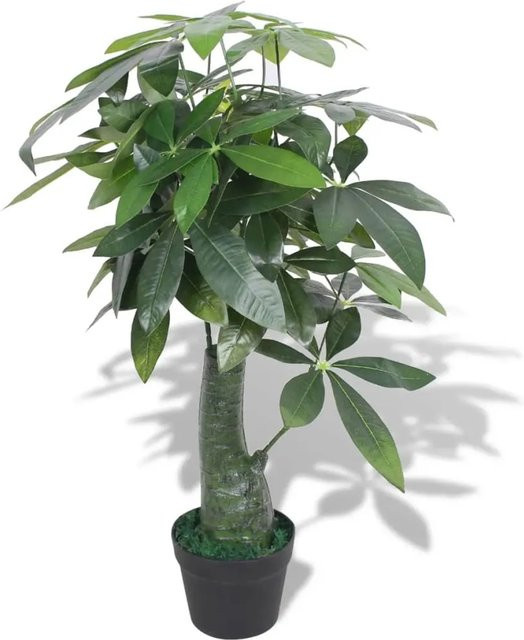 furnicato Künstliche Glückskastanie in Grün mit Topf, Höhe: 85 cm - Bild 1