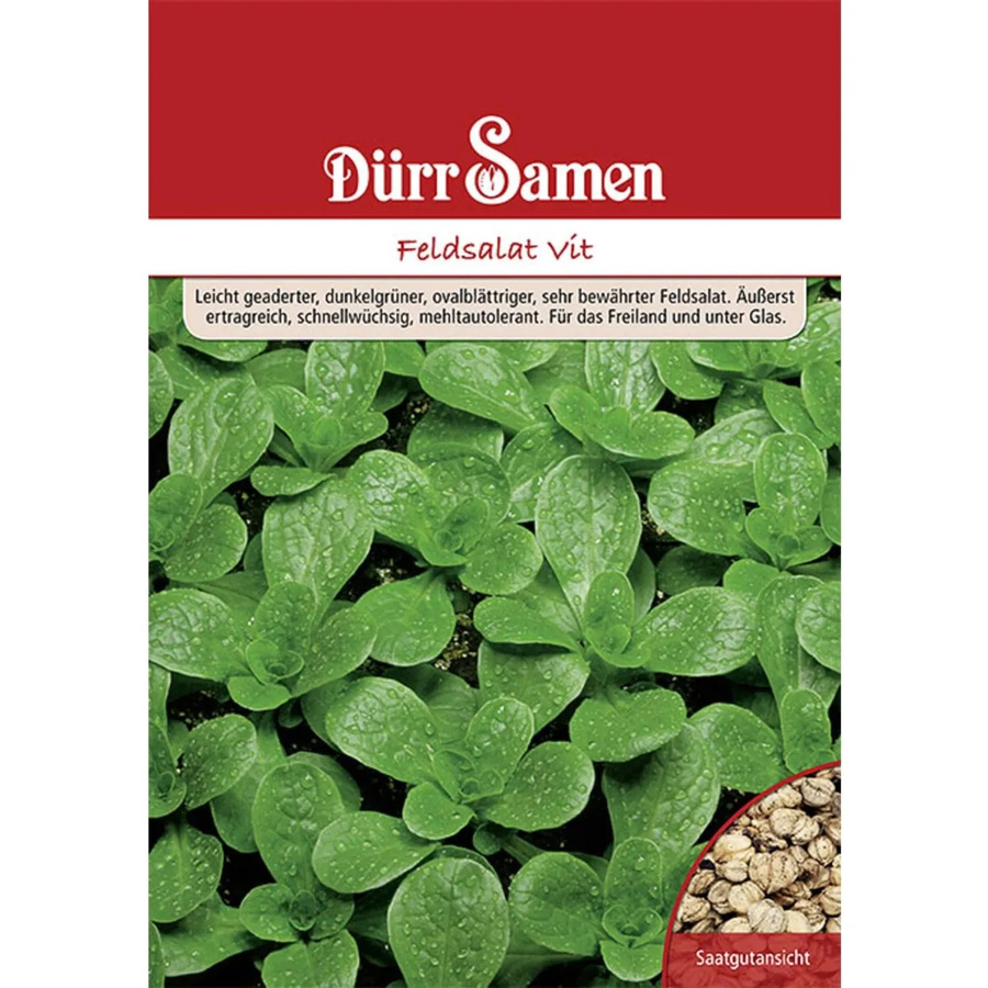 Dürr Feldsalat Saatgut 250 g - Bild 2