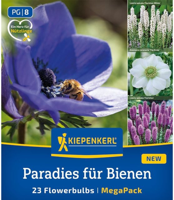 Kiepenkerl Blumenzwiebelmischung Paradies für Bienen, bunt, 23 Stück - Bild 1