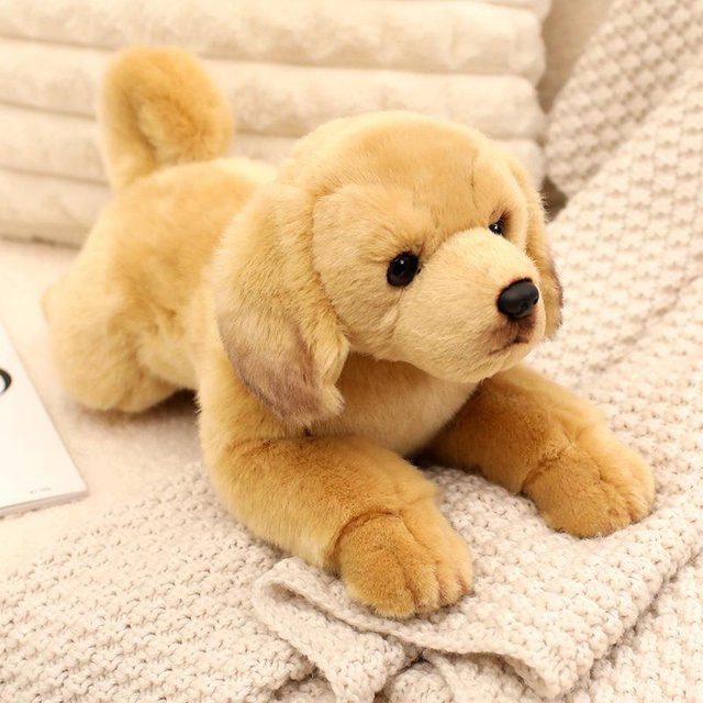 Süßer Plüsch Corgi Labrador Husky Hund, Stofftiere, 40cm, ab 14 Jahre - Bild 1
