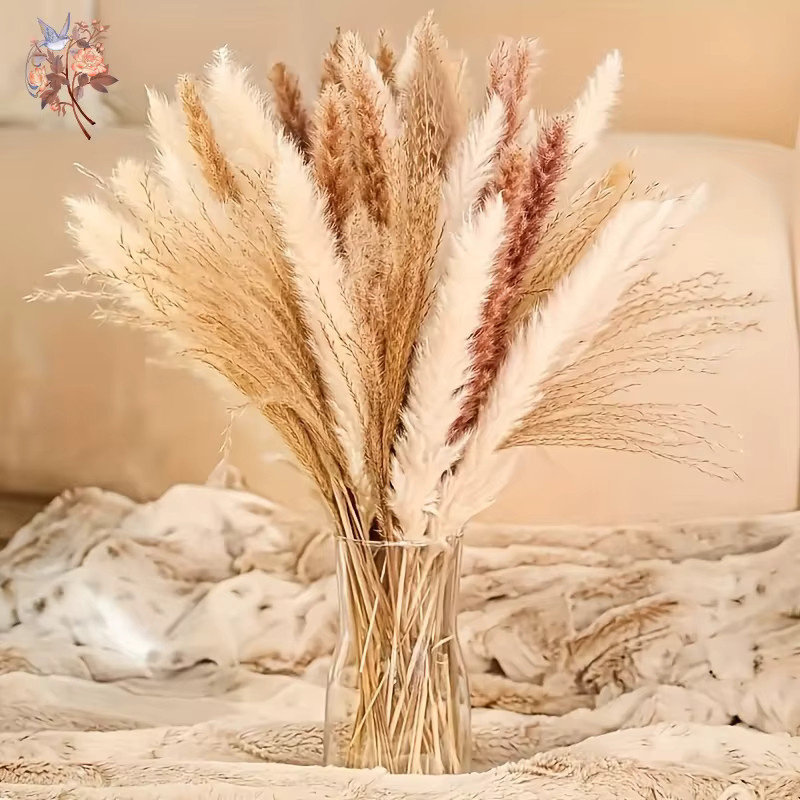 YN HI FLOWER Gemischtes Set aus natürlichem getrocknetem Pampasgras und Hasenschwanz für deine Boho-Heimdekoration, Hochzeiten und Partys - Bild 2