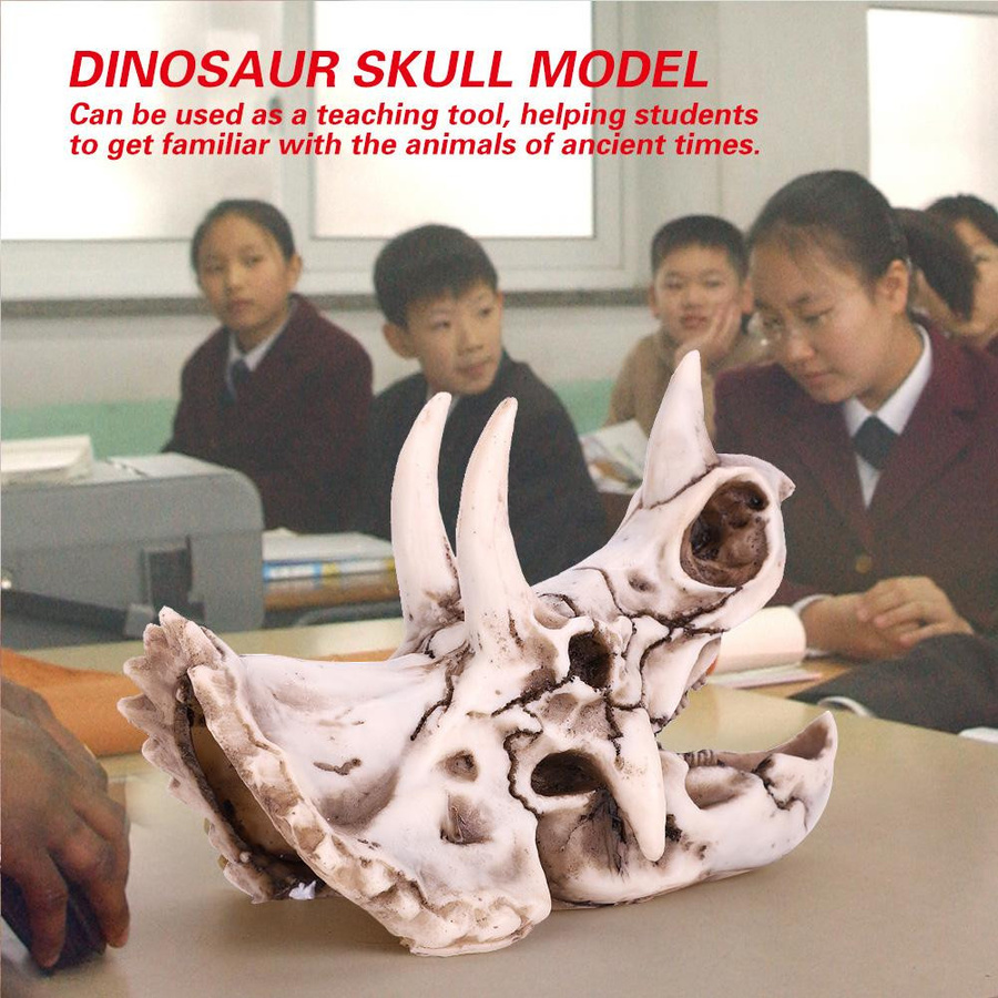 mfySpace Triceratops Schädel Modell aus Harz als dekoratives Dinosaurier Skelett für Heim und Büro - Bild 4