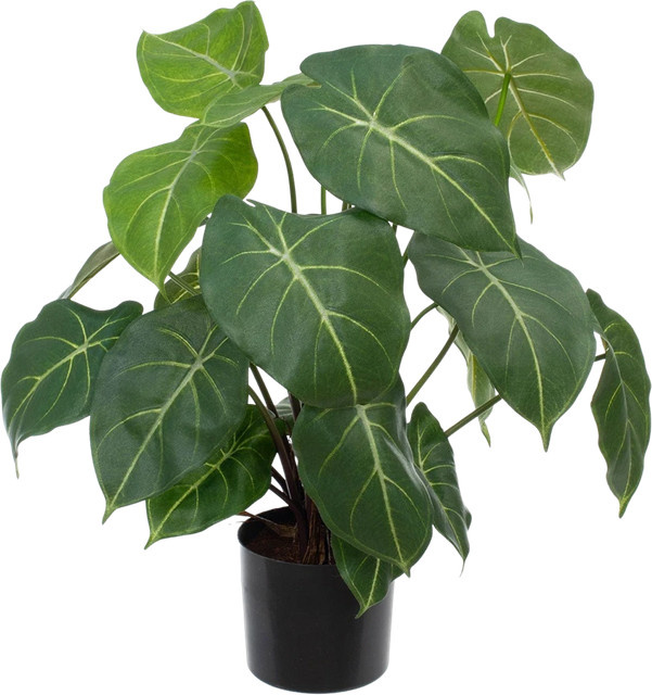 Künstliche Syngonium Pflanze Laika von Aplanta in Grün, Höhe: 58 cm - Bild 1
