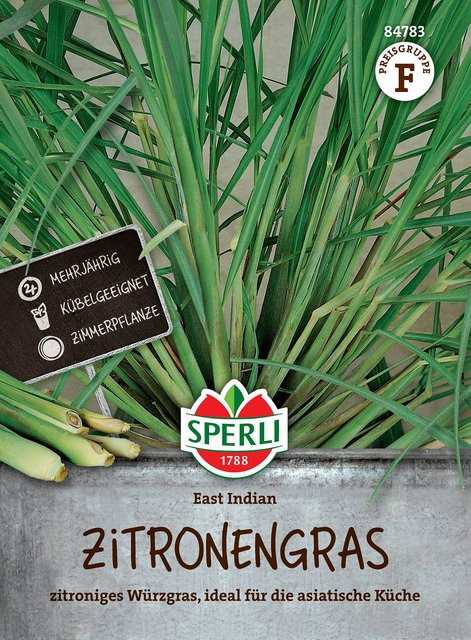 SPERLI Zitronengras-Samen East Indian - Bild 1