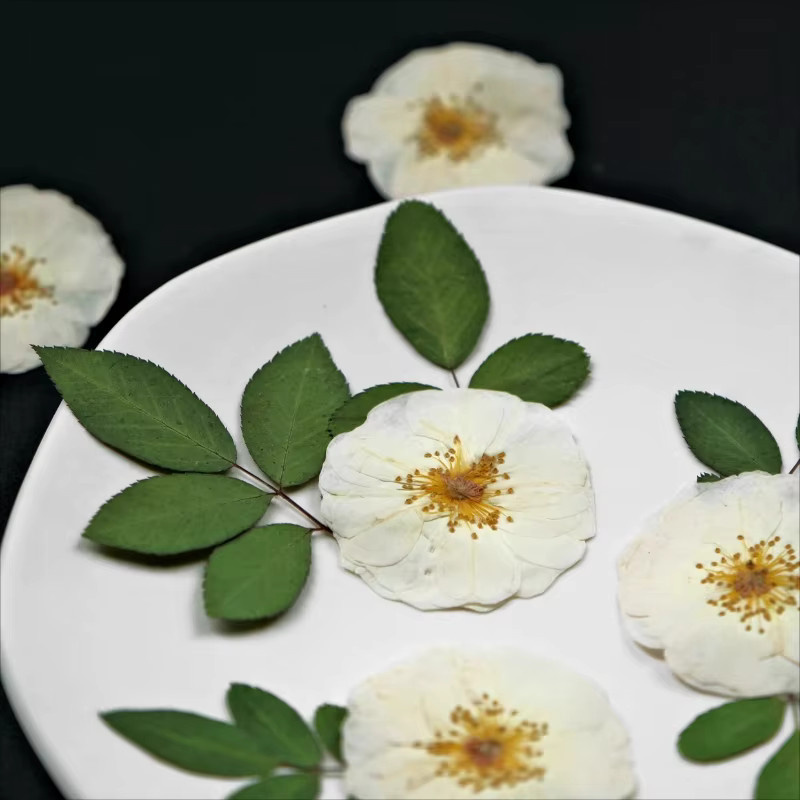 Natürliche weiße Rosenblätter als gepresste getrocknete Blumen für DIY-Handwerk, Epoxidharz und Dekoration - Bild 4