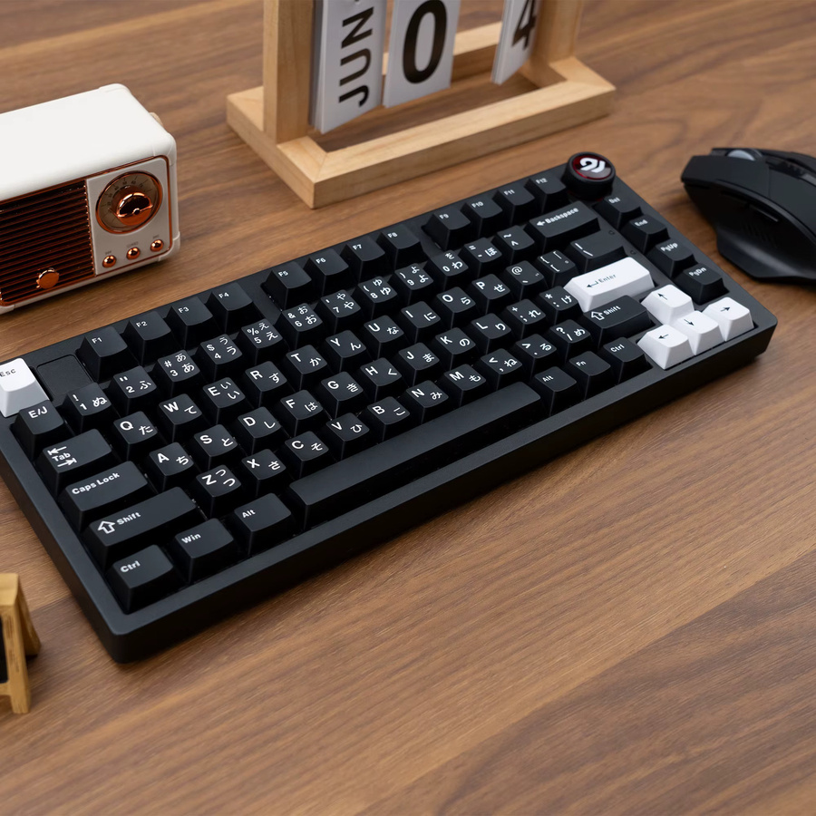XVX PBT-Tastenkappen in Schwarz mit japanischen Schriftzeichen im Double Shot JIS-Layout für mechanische Tastaturen, 146 Tasten - Bild 2