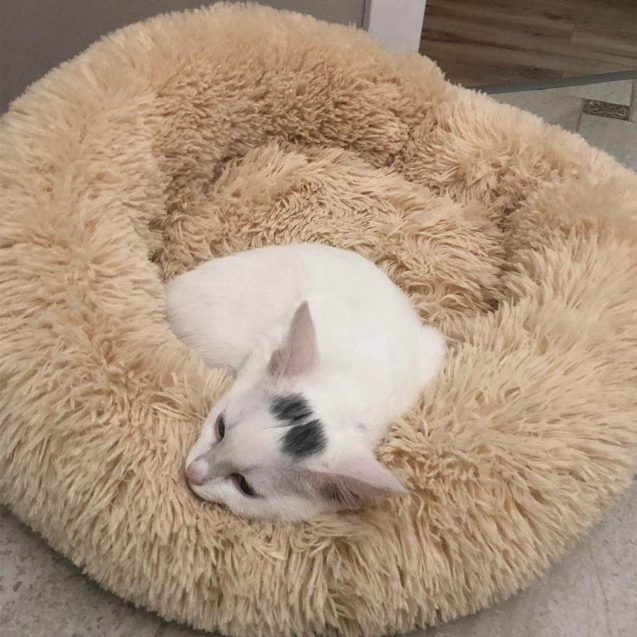 Rundes Haustierbett aus Plüsch und Fleece in Braun für Hunde und Katzen, Durchmesser: 40 cm - Bild 2