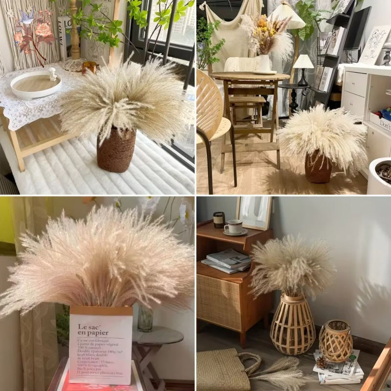 YN HI FLOWER Beige Getrockneter Pampasgras Blumenstrauß im Bohemian Stil für Hochzeiten und DIY Dekorationen - Bild 6