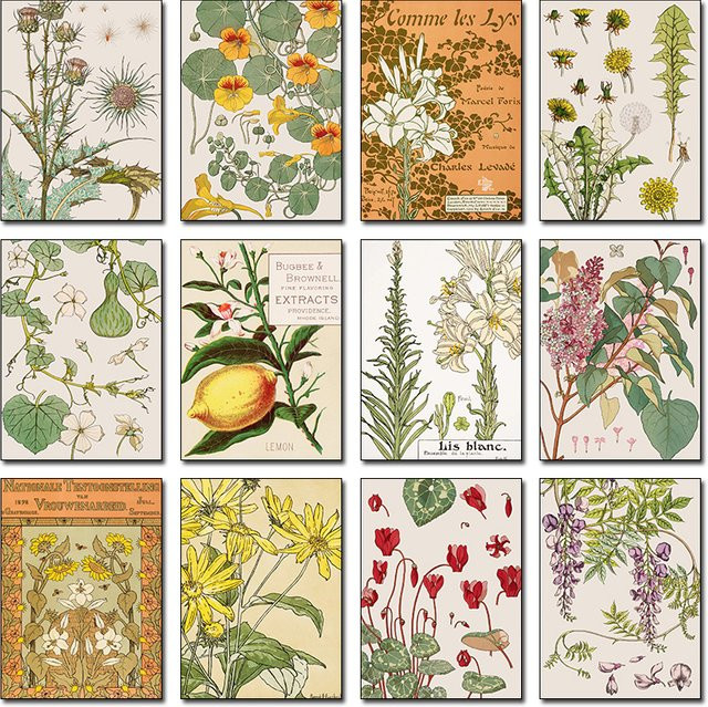 Potdemiel Art Nouveau Botanische Illustration Glyzinien Leinwandbilder Set in Mehrfarbig - Bild 1