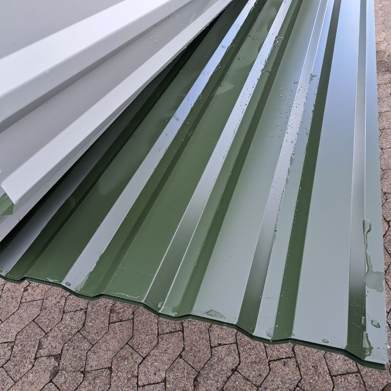 Trapezblech Wand Friedrich von Lien AG Chromoxidgrün RAL 6020 Länge: 250 cm, Breite: 138 cm, Höhe: 2 cm - Bild 1