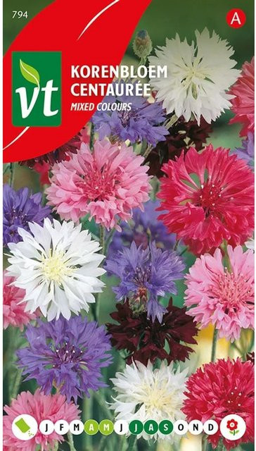 Arborix Tausendschön Mix Saatgut Bunte Mischung für den Garten, 1 g - Bild 1