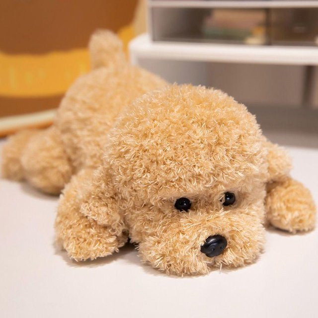 Binchi Fitness Teddyhund Plüschtier, Welpenpuppe, ab 14 Jahren - Bild 1
