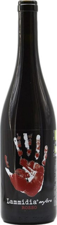 Lammidia Rosso Anfora Bio Rotwein, Montepulciano, 2021, Abruzzen, trocken, 0,75 l