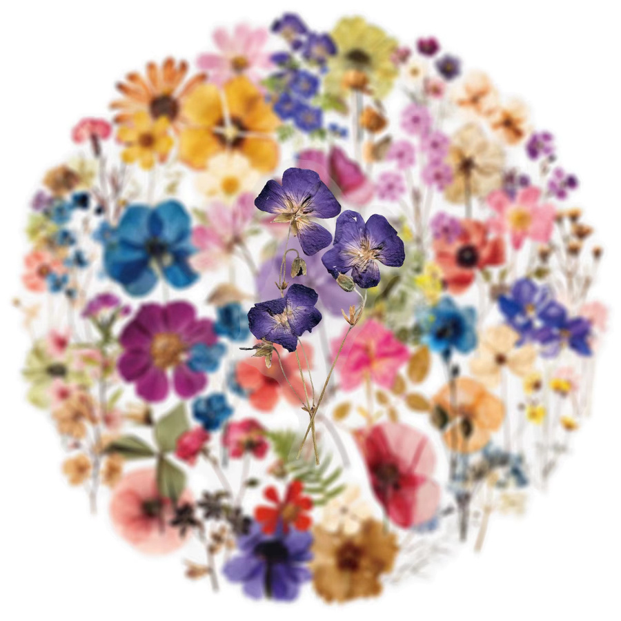 GOGOTU Gepresste Blumen-Kunst-Aufkleber, transparent, 50-teiliges Set - Bild 2
