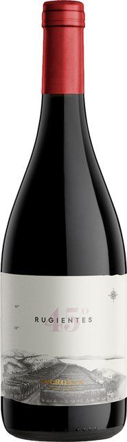 Bodega Otronia Pinot Noir Rotwein, Patagonien, 2020, 13,0 %, 0,75 l - Bild 1