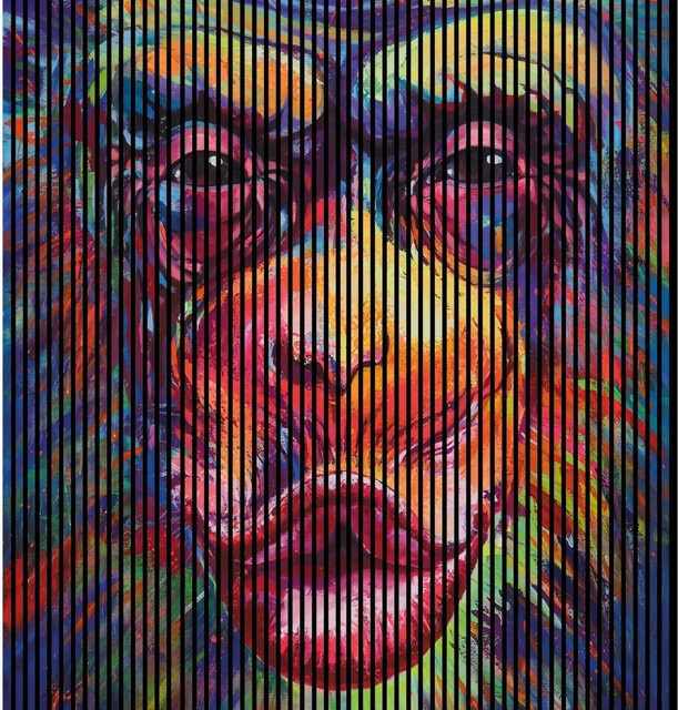 FN Acustico Akustikplatte Monkey 1 in Bunt, foliert aus PET und MDF, H x B x T: 2.400 x 2.253 x 19 mm - Bild 1