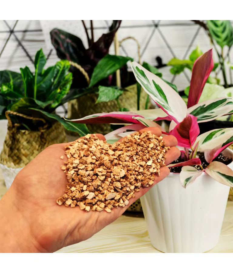 BIOVITA Gartenbau-Wermiculit Natural Fine, 5 l - Bild 2