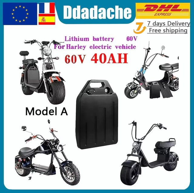 Citycoco Elektroroller Lithium-Batterie Set 60V 100Ah in Schwarz inklusive 67,2V Ladegerät - Bild 1