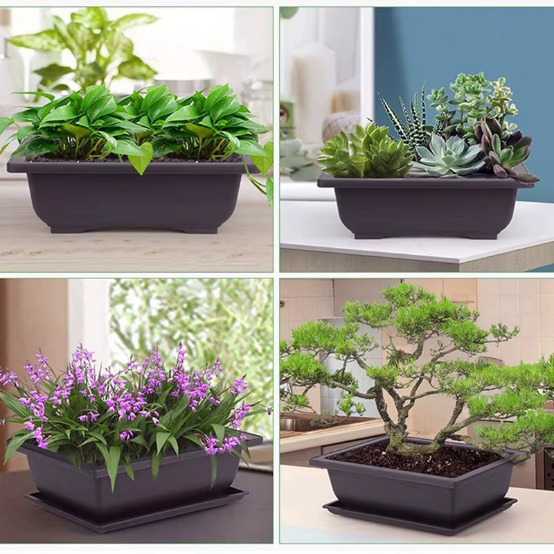 Quadratischer Blumentopf aus Kunststoff für Balkon und Bonsai - Bild 3