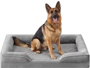FEANDREA Orthopädisches Hundebett mit Memory-Schaum, Grau, mit abnehmbarem Bezug, erhöhten Rändern und rutschfester Unterseite - Bild 1