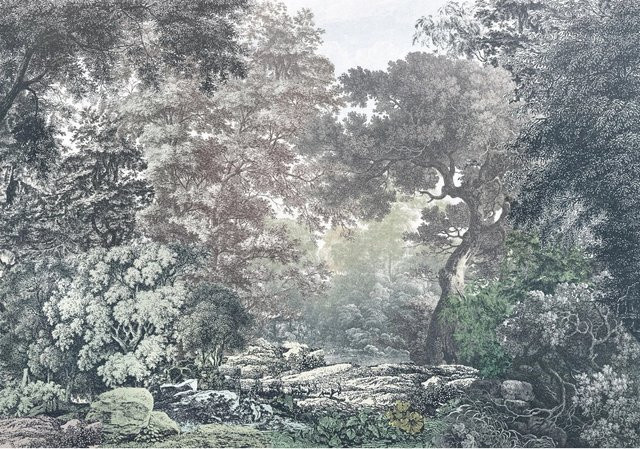 Komar Fototapete Vlies Fairytale Forest Multicolor B: 400 cm, H: 280 cm - Bild 1