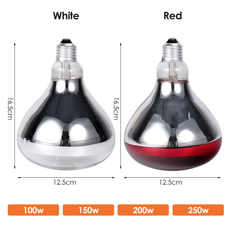 JIECARE Tierzucht-Isolierlampe aus Glas in Weiß mit E27 Fassung und 220 V für Infrarot-Wärmeanwendungen bei Geflügelbrütern und Küken - Bild 3