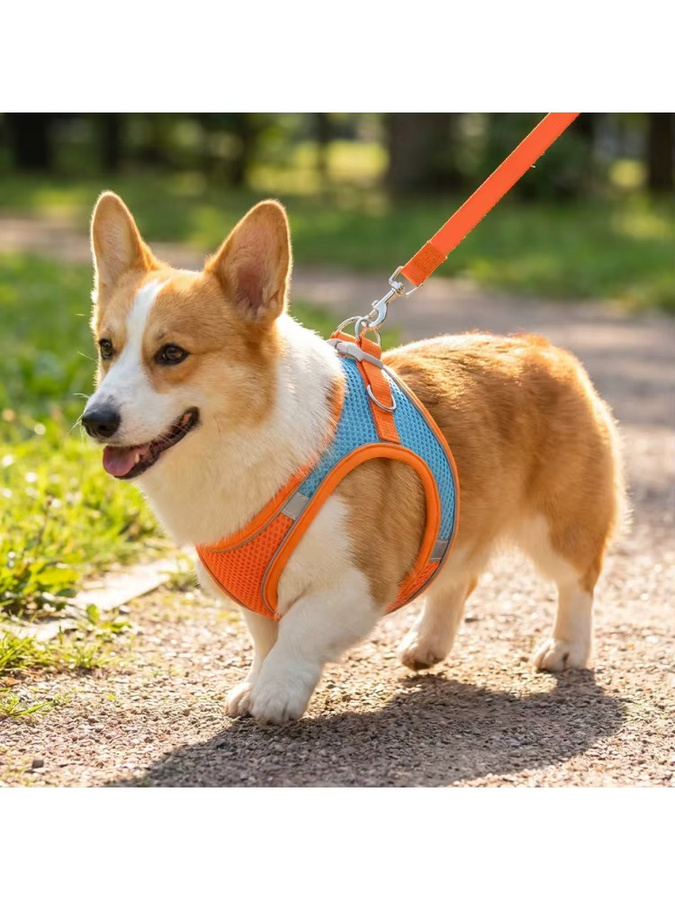 XMSJ Verstellbares Reflektierendes Haustier-Geschirr mit Leine in Multicolour für Hunde und Katzen - Bild 5