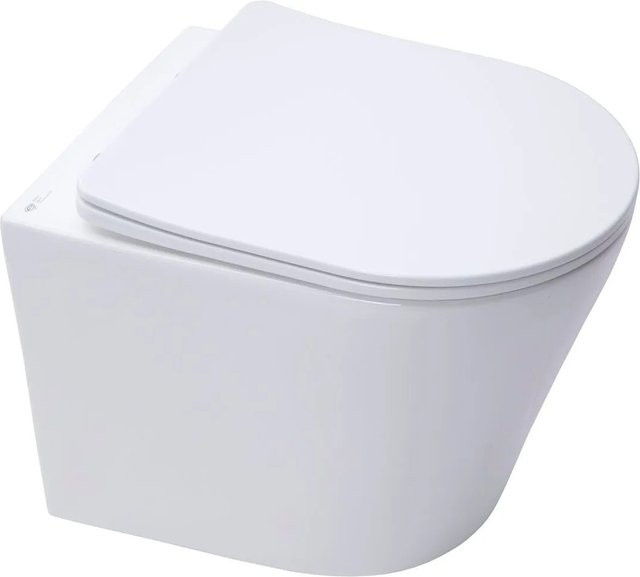 Swiss Aqua Technologies Hänge-Wand-WC spülrandlos in Weiß Matt mit SoftClose TakeOff WC-Sitz, Länge: 48 cm - Bild 1
