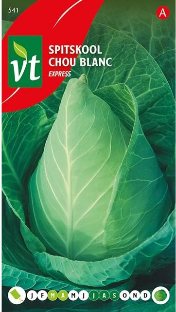 Arborix Rosenkohl Express Samen, schnellwachsendes Gemüse, 2 g - Bild 1