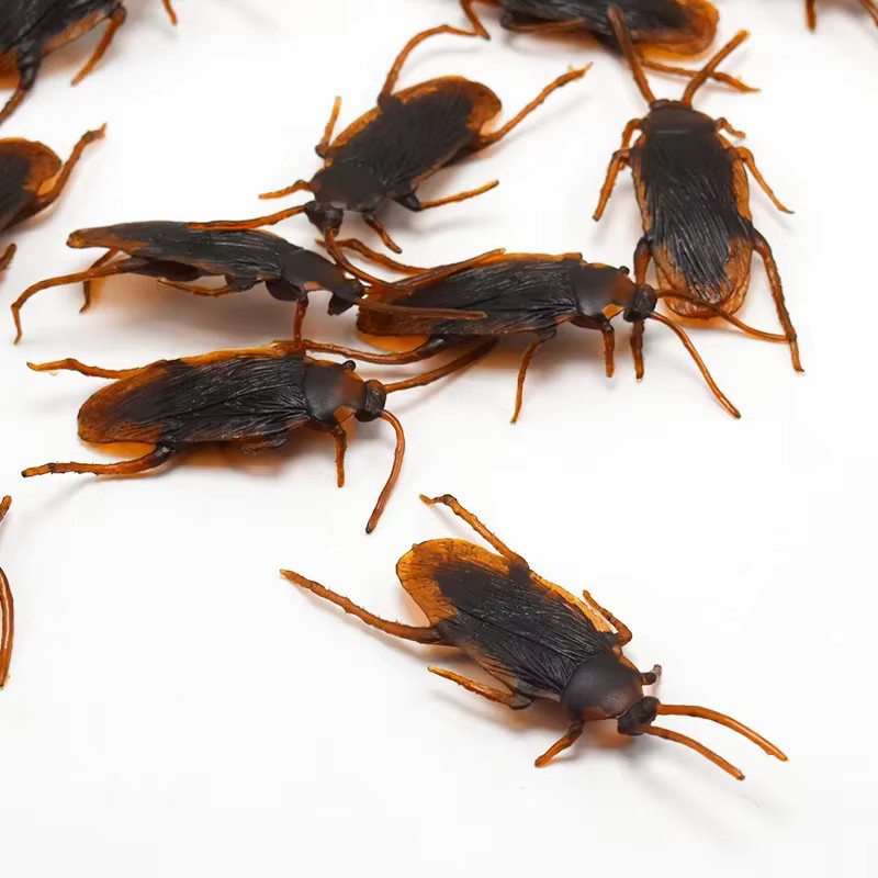 Haifeng Schreckliche lustige Kakerlaken, Spielzeugfigur, Insekten - Bild 2