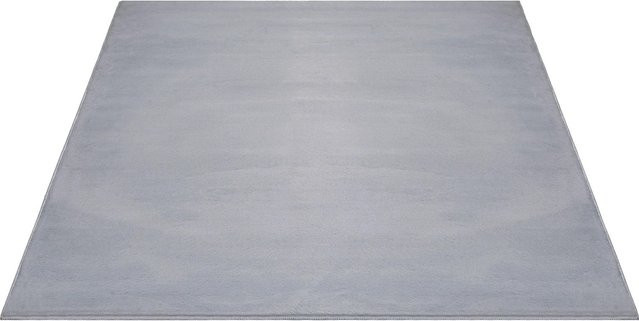 Floornovo Kurzflor Teppich Nr. 249 Grau Einfarbig B: 340 cm, T: 240 cm - Bild 1