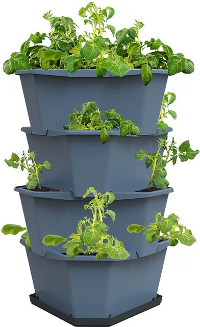Gusta Garden Anzuchtsgefäß Paul Potato in Blau für Kartoffeln, Kräuter und Salate mit 56 l Volumen - Bild 1