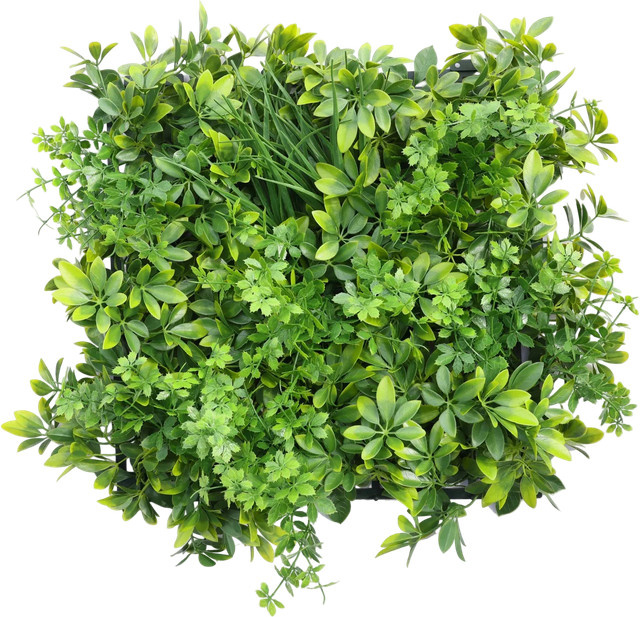 Künstliche Schefflera Matte Orla von Aplanta in Grün, B/B: 50 x 50 cm - Bild 1