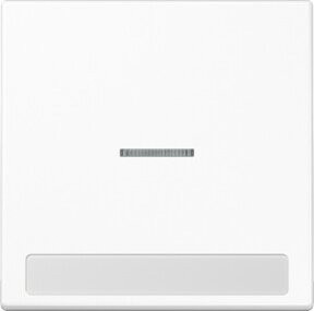 Jung Wippe Licht und Schriftfeld für Schalter und Taster LS 990 NAKO5 WW - Bild 1