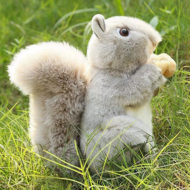 Fashnics Eichhörnchen Plüschtier, grau, 20cm, ab 3 Jahren - Bild 1