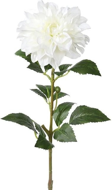 Mica Decorations Dahlie in Creme und Beige, Florale Dekoration, Höhe: 59 cm - Bild 1